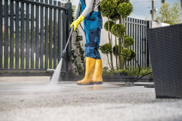 Best Soft Washing for Delicate Surfaces in Lindenwold, NJ